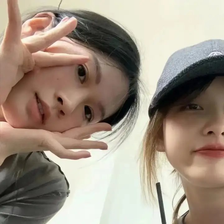 知更鸟